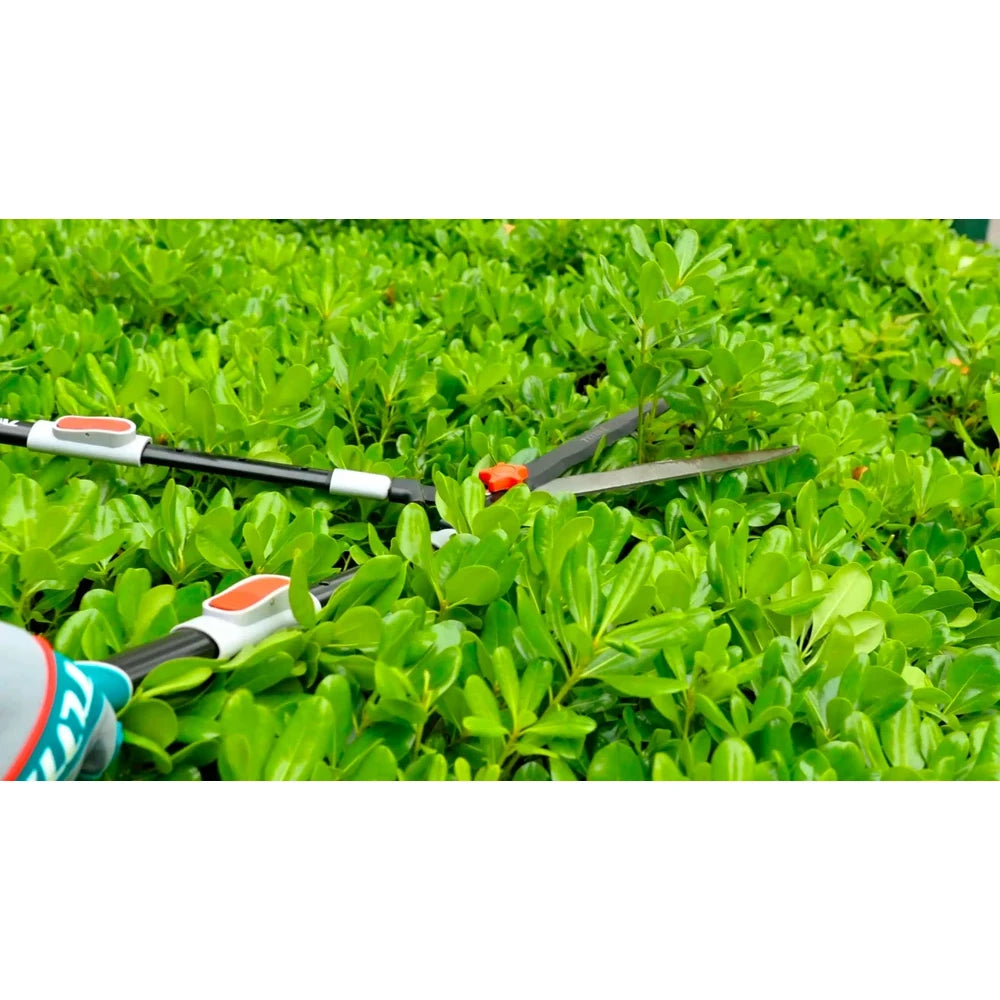 Telescopic Hedge Shear - TOTAL