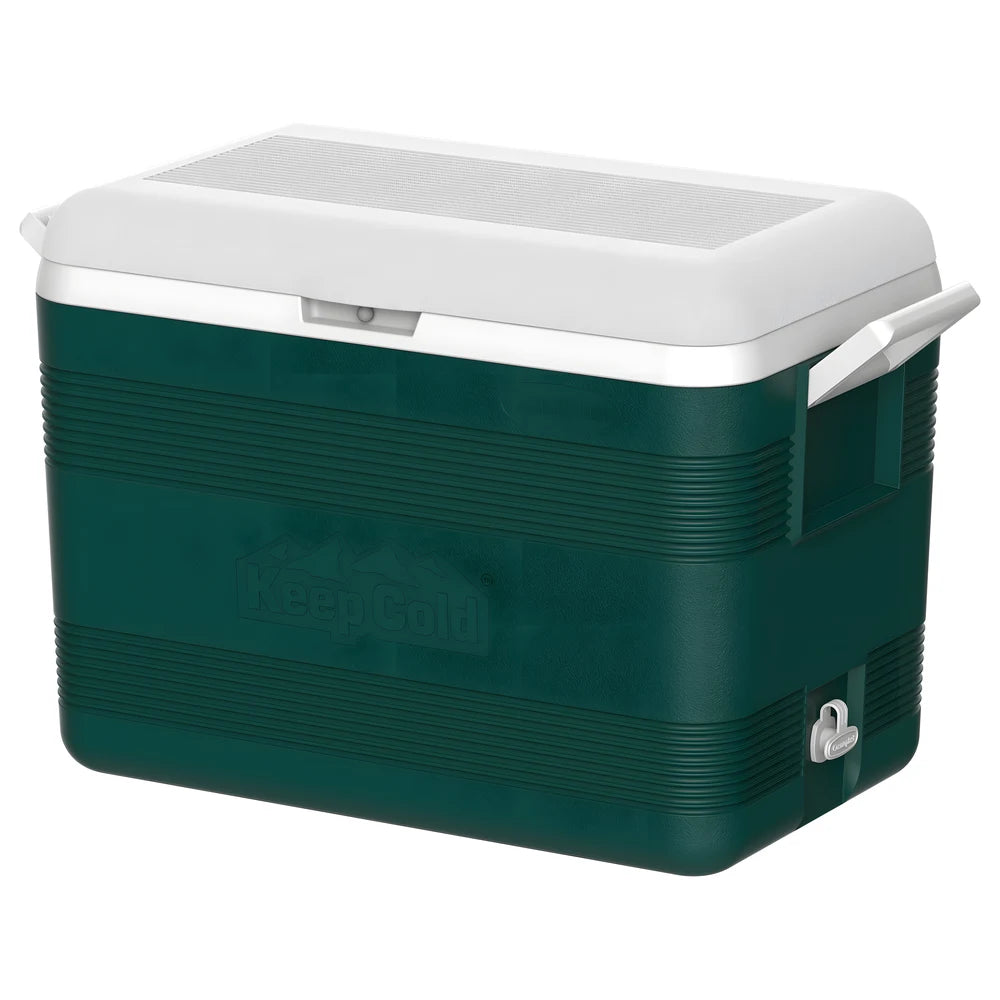 Deluxe Icebox 40.5L - Cosmoplast
