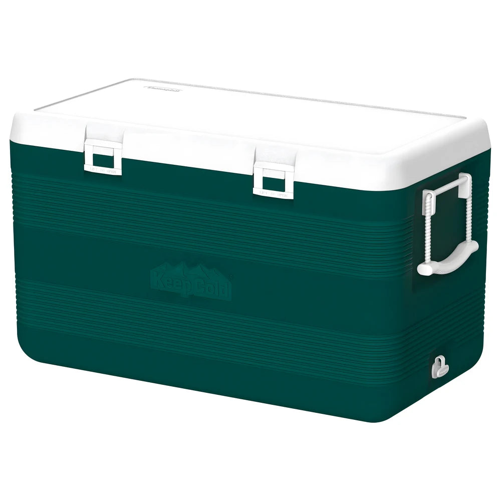 Deluxe Icebox 127.6L - Cosmoplast