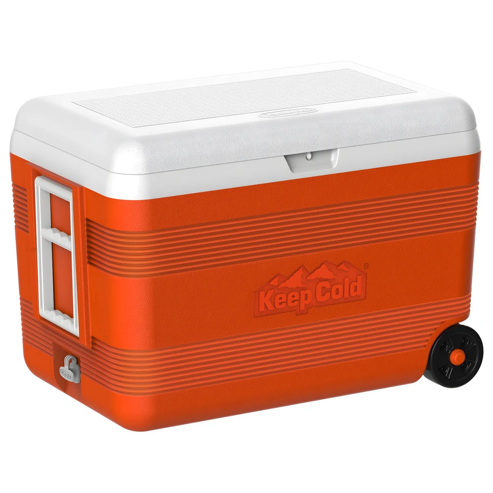 Deluxe 65 Icebox 52.8L - Cosmoplast