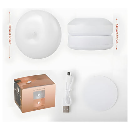 Rechargeable LED Motion Sensor Wall Light