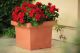 Etna Smooth Classic Square Plastic Flower Box Planter 40cm Terracotta
