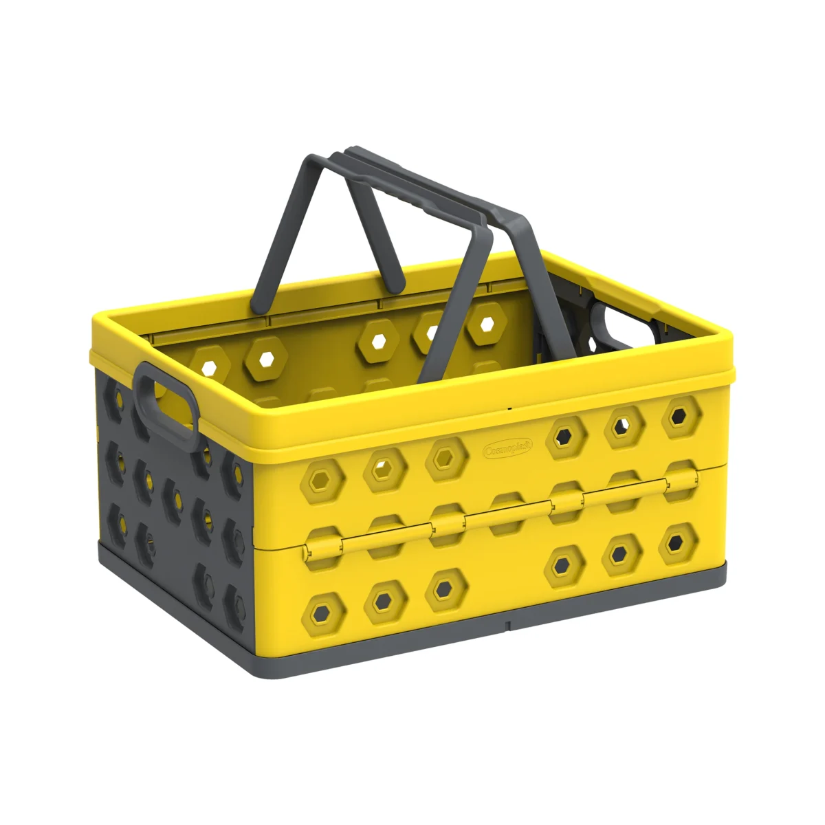 Cosmoplast 32L Foldable Plastic Basket – Collapsible Storage Crate with Handles