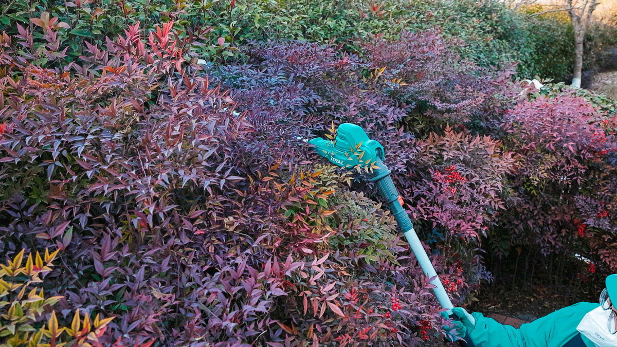 TOTAL 20V Cordless Pole Saw & Hedge Trimmer Set – 2-in-1 Long Reach Garden Tool with Battery (TPTS201681) TOTAL 20V Cordless Pole Saw & Hedge Trimmer Set – 2-in-1 Long Reach Garden Tool with Battery (TPTS201681)